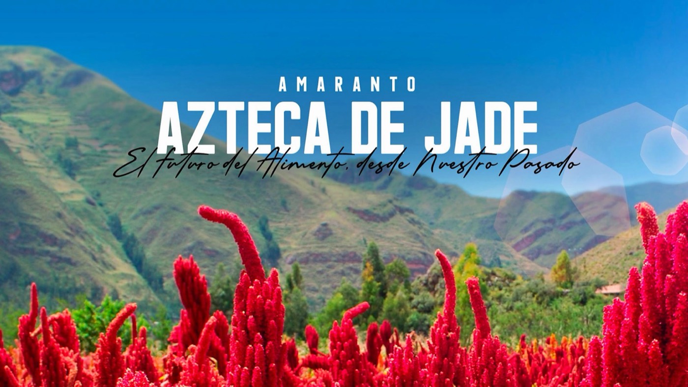 Azteca de Jade · Amaranto: marca, empaque y redes